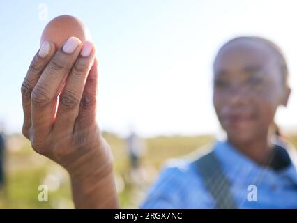 Main, femme noire et œuf à la ferme pour inspection, chaîne d'approvisionnement ou contrôle de la qualité dans la campagne. Élevage de volaille, libre parcours et agriculteur avec poulet Banque D'Images