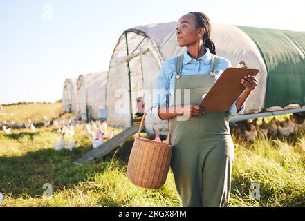 Agriculture, presse-papiers et femme noire dans une ferme de poulets pour la gestion durable dans la campagne. Volaille, fermier et femelle africaine avec Banque D'Images