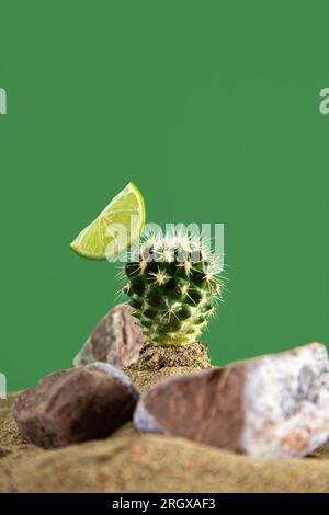 Cactus dans le sable avec tranche de chaux. Simulation du désert. Fond vert. Banque D'Images