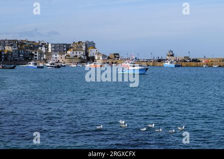 Vue aérienne du centre-ville de St Ives et de la côte de Cornwall, Angleterre. Banque D'Images