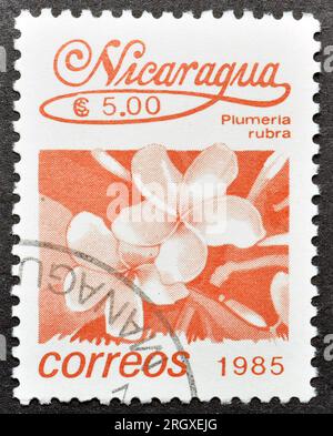 Timbre-poste annulé imprimé par le Nicaragua, qui montre Plumeria rubra, vers 1987. Banque D'Images