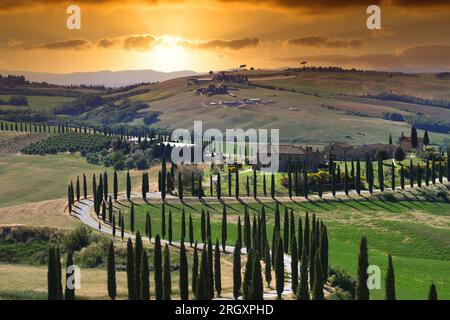 Asciano, Italie - Mai 2020 : paysage toscan au coucher du soleil. L'un des endroits les plus célèbres avec des cyprès et route de gravier blanc en Toscane, près de ASC Banque D'Images