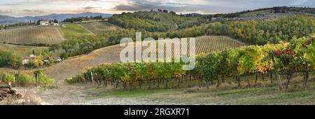 Vue panoramique de belles rangées de vignes colorées nella campagna toscana dans la région du Chianti près de San Casciano in Val di Pesa. Saison d'automne en Banque D'Images