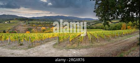 Rangées de vignes jaunes et ciel nuageux spectaculaire dans la région du Chianti près de Greve in Chianti. Saison d'automne en octobre. Italie. Banque D'Images