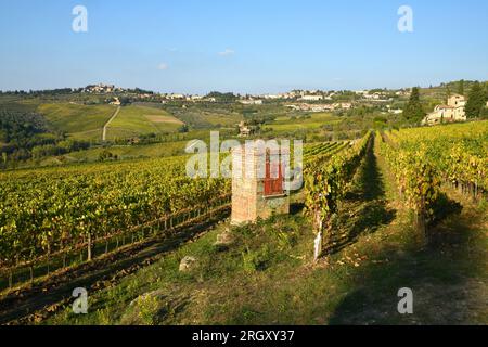 vieux puits d'eau et beaux vignobles pendant la saison d'automne. Situé près de Greve in Chianti (Florence). Toscane en Italie. Banque D'Images