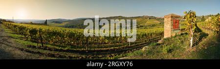 vieux puits d'eau et beaux vignobles pendant la saison d'automne. Situé près de Greve in Chianti (Florence). Toscane en Italie. Banque D'Images