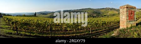 vieux puits d'eau et beaux vignobles pendant la saison d'automne. Situé près de Greve in Chianti (Florence). Toscane en Italie. Banque D'Images