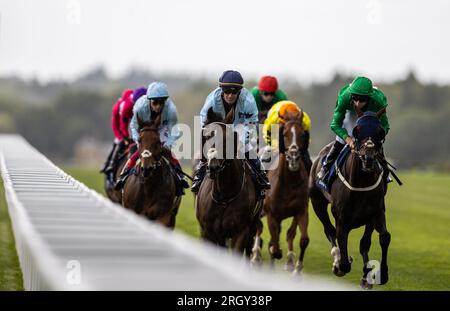 Throne Hall monté par le jockey Olivier Peslier (au centre) lors des stayers de la Dubai Duty Free Shergar Cup lors de la Dubai Duty Free Shergar Cup Day à l'hippodrome d'Ascot. Date de la photo : Samedi 12 août 2023. Banque D'Images