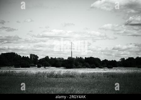 La photo en noir et blanc capture un paysage rural avec de vastes champs de blé et une ligne électrique aérienne contre un ciel nuageux. Campagne, spectacle Banque D'Images