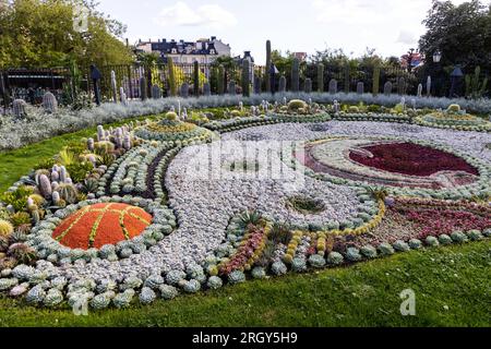 La plantation de cactus dans le parc Karl Johans dans le centre de Norrköping, en Suède. Le thème de cette année célèbre le 60e anniversaire du club de basketball des dauphins de Norrköping. Banque D'Images