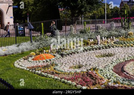 La plantation de cactus dans le parc Karl Johans dans le centre de Norrköping, en Suède. Le thème de cette année célèbre le 60e anniversaire du club de basketball des dauphins de Norrköping. Banque D'Images