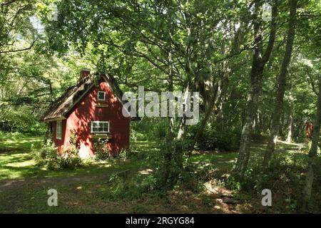 Cabane sur le site de piégeage de leurres de canard Gamle Fuglekøje / Old Birdhouse, Fano / île de Fanø, Danemark. Banque D'Images