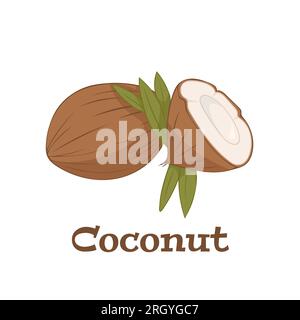 Noix de coco fraîche entière et demi avec des feuilles vertes. Illustration vectorielle isolée sur fond blanc. Illustration de Vecteur