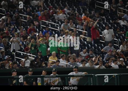 Oakland Athletics organise une manifestation contre le déménagement de l'équipe à Las Vegas lors d'un match de saison régulière de la MLB entre les Oakland Athletics et les Nationals de Washington au Nationals Park à Washington, DC le 11 août 2023. La manifestation de la campagne fans 2023 est appelée « Summer of Sell ». (Max Siker / image du sport) Banque D'Images