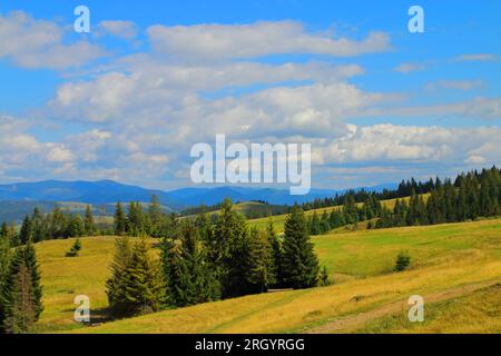 La photo a été prise en Ukraine, dans les Carpates. La photo montre un paysage incroyablement beau qui s'ouvre de la pente du mont. Banque D'Images