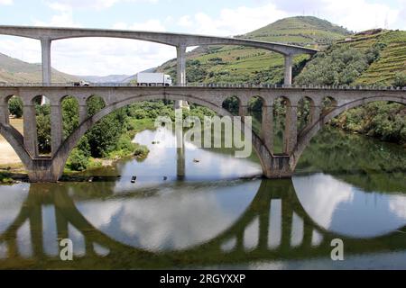Ponts traversant le fleuve Douro à l'est de Porto dans la région viticole portugaise, vignobles en terrasse sur les pentes en arrière-plan, Peso da Regua, Portugal Banque D'Images