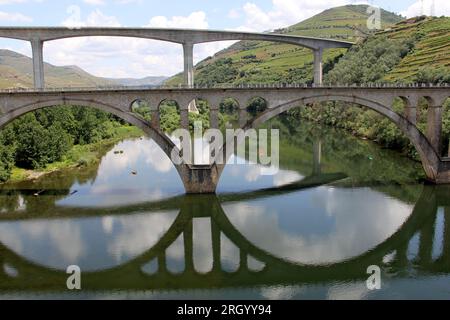 Ponts traversant le fleuve Douro à l'est de Porto dans la région viticole portugaise, vignobles en terrasse sur les pentes en arrière-plan, Peso da Regua, Portugal Banque D'Images
