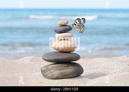 Paix et harmonie. Cailloux empilés sur sable et beau papillon près de la mer Banque D'Images