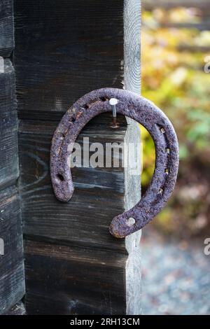 Un vieux fer à cheval cloué joyeusement par un clou rouillé à un mur en bois Banque D'Images