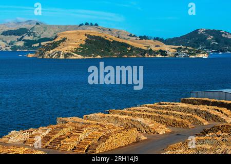 Grumes de bois en préparation pour chargement à Port Chalmers, Dunedin, péninsule d'Otago, Nouvelle-Zélande Banque D'Images