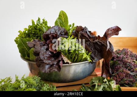 stand de marché aux puces avec divers légumes frais, chou-fleur, roquette et feuilles de laitue sauvage dans un affichage présentable Banque D'Images