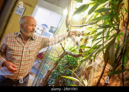 Lauf an Der Pegnitz, Allemagne. 18 juillet 2023. Helmut Mägdefrau se tient devant son enclos de reptile. Il garde plusieurs reptiles chez lui en Bavière. Les animaux comme ceux-ci ont beaucoup de fans, mais parfois ils sont achetés trop légèrement. (À dpa: "Les reptiles comme animaux de compagnie - fascination pour les conséquences") crédit : Daniel Löb/dpa/Alamy Live News Banque D'Images