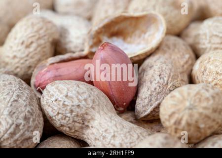 arachides mûres dans la coquille, un groupe d'arachides grillées dans la coquille sans sel Banque D'Images