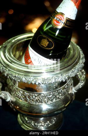 Bouteille de champagne dans un seau à glace argenté Banque D'Images