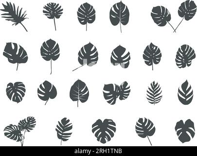 Silhouette de feuilles tropicales, vecteur de feuilles de palmier tropical, silhouette de feuilles, icône de feuille, vecteur de feuilles tropicales, feuilles tropicales SVG Illustration de Vecteur