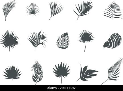 Silhouettes de feuilles de palmier, vecteur de feuilles de palmier tropical, icône de feuille, silhouette de feuille, vecteur de feuille de palmier, feuilles de palmier SVG, laisse silhouette Illustration de Vecteur