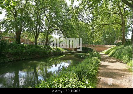 Le Canal de Brienne à Toulouse, France, relie la Garonne au Canal du midi et au Canal de Garonne Banque D'Images