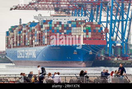 Hambourg, Allemagne. 13 août 2023. Un porte-conteneurs étiqueté «Cosco Shipping» se trouve sur le quai de Tollerort dans le port de Hambourg tandis qu'un ferry passe par. Crédit : Georg Wendt/dpa/Alamy Live News Banque D'Images