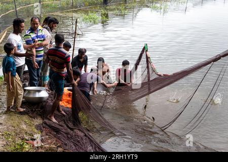 Munshiganj, Dhaka, Bangladesh. 13 août 2023. Les pêcheurs pêchent des poissons dans un étang à Munshiganj, Bangladesh. Ils pratiquent les méthodes traditionnelles en jetant un énorme filet qui capture une poignée de petits poissons. Après avoir laissé tomber le filet de la rive en demi-cercle, ils pataugent dans l'eau peu profonde de l'étang en le tirant aussi large que possible. La pisciculture a rendu de nombreuses personnes financièrement solvables tout en renforçant leur dignité sociale et en contribuant à répondre à la demande de protéines animales dans tout le pays. Crédit : ZUMA Press, Inc./Alamy Live News Banque D'Images