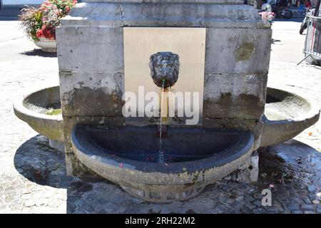 fontaine à tête de lion dans une base en pierre Banque D'Images