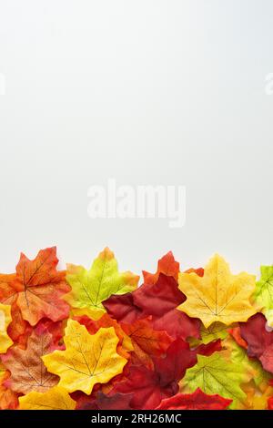 Composition de chute. Feuilles d'automne colorées en bas sur fond blanc. Pose à plat avec espace de copie. Tir vertical. Banque D'Images