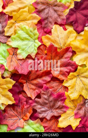 Motif de fond d'automne saisonnier coloré, tapis vibrant de feuilles de forêt tombées. Tir vertical. Banque D'Images