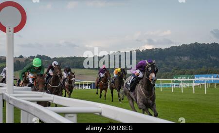 Hippodrome de Chepstow - Cabinet des clowns - Racing League 2023 Banque D'Images