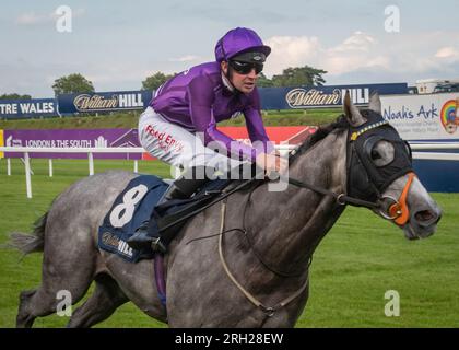 Hippodrome de Chepstow - Cabinet des clowns - Racing League 2023 Banque D'Images