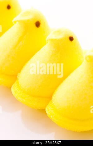 Poussins de guimauve Banque D'Images