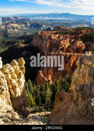 La vue de point arc-en-ciel sur les vibrants hoos colorés du parc national de Bryce Canyon et les forêts de pins dans la vallée ci-dessous. Banque D'Images