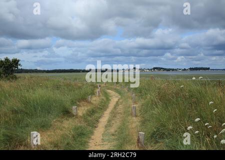 Sentier côtier et vue sur Golve du Morbihan depuis Pointe du duer, Sarzeau, Morbihan, Bretagne, France Banque D'Images