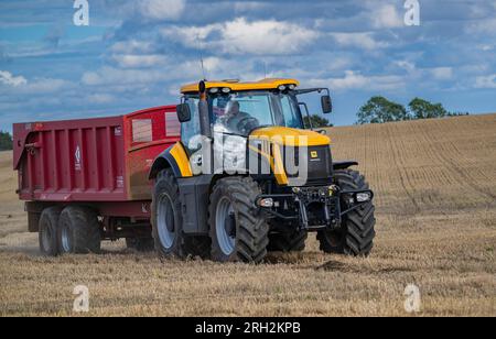 Un tracteur et une remorque transportant du maïs de blé d'un champ, qui vient d'être récolté ou combiné, au magasin de grain pour le stockage Banque D'Images