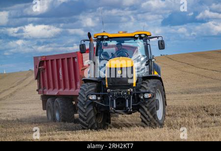 Un tracteur et une remorque transportant du maïs de blé d'un champ, qui vient d'être récolté ou combiné, au magasin de grain pour le stockage Banque D'Images