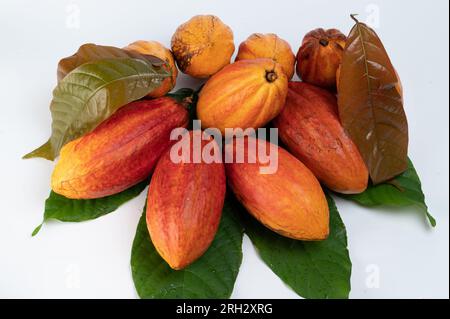 Gousses de pile de cacao frais avec des feuilles vertes au-dessus de la vue de dessus isolé Banque D'Images