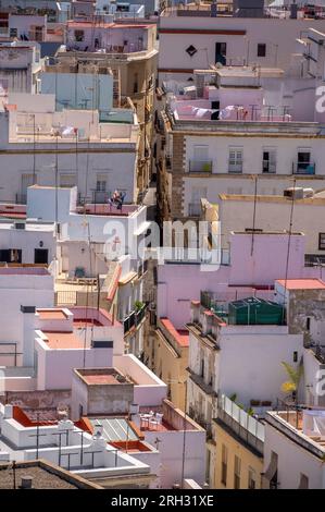 Vue plongeante de la belle vieille ville de Cadix depuis le point de vue de la cathédrale. Banque D'Images
