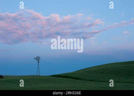 Moulin à vent, blé et nuages au crépuscule. Comté de Whitman, Washington, États-Unis. Banque D'Images