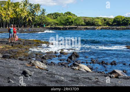 Trois tortues marines sur la plage de Punalu'u, Hawai'i, États-Unis Banque D'Images