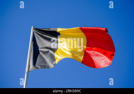 Drapeau belge flottant dans le vent Banque D'Images