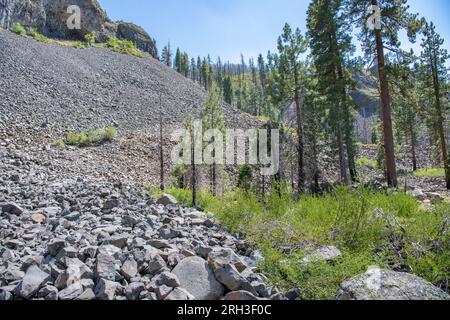 Le paysage autour de la formation rocheuse Columns of the Giants à Sonora Pass dans les montagnes de la Sierra Nevada en Californie, aux États-Unis. Banque D'Images