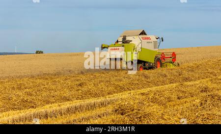 Allemagne, 11 août 2023 : moissonneuse-batteuse CLAAS au travail. Banque D'Images